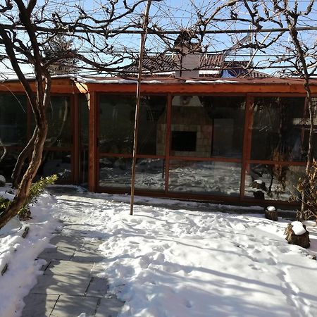 Apartment Raya Sapareva Banya Εξωτερικό φωτογραφία