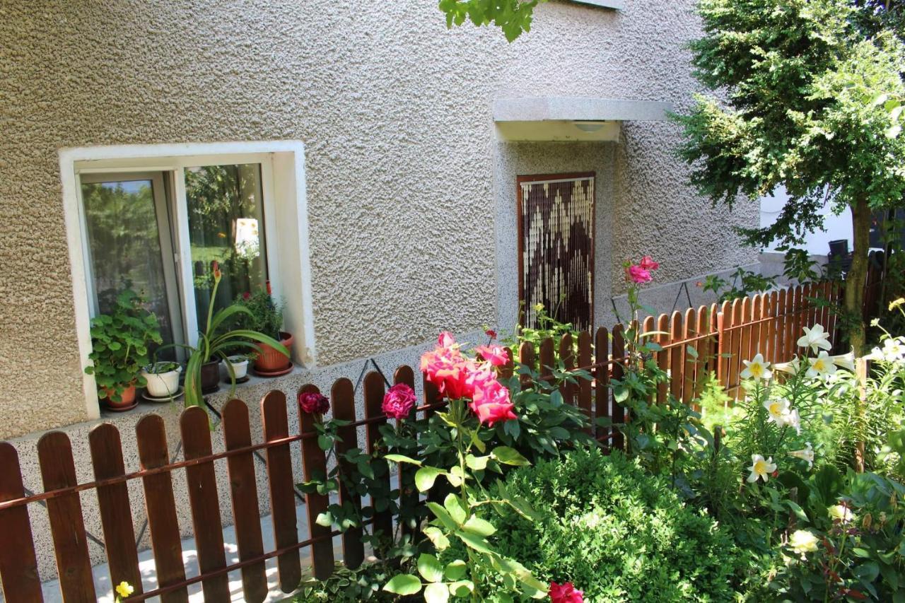 Apartment Raya Sapareva Banya Εξωτερικό φωτογραφία